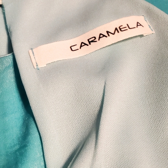 Caramela Ruffled Satin Dress Size Small - Picture 7 of 8